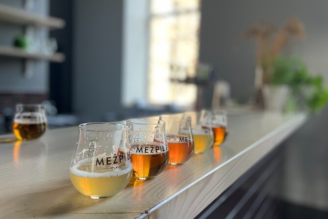 Latvian Brewery Visit and Beer Tasting - Seeing the modern brewing facilities