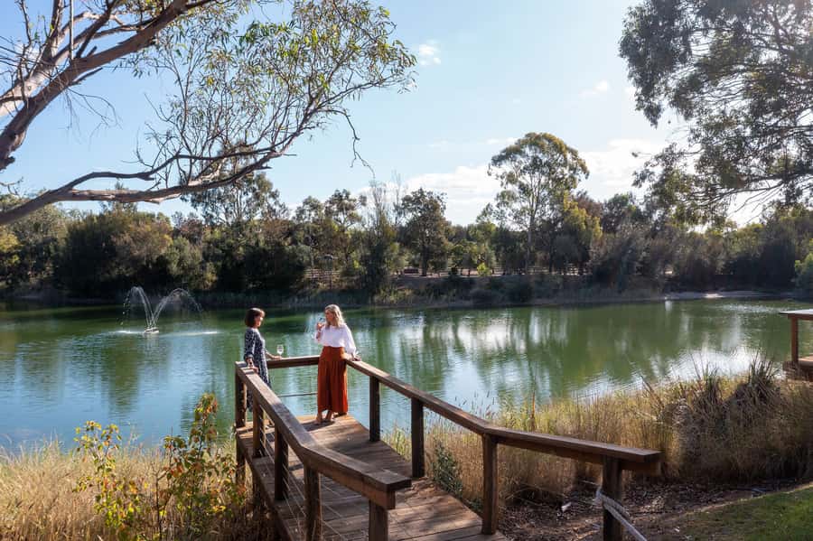 Maggie Beer's Farm: Cooking Demonstration with Lunch & Wine - The 45-minute studio kitchen demonstration
