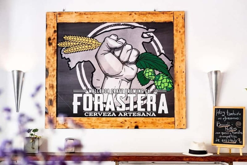 Mallorca: Craft beer tasting at the local Forastera brewery - Tapas that connect beer with Mallorca