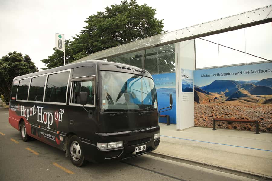 Marlborough: Hop-On Hop-Off Wine, Brewery, and Wonders Tour - Key points at a glance