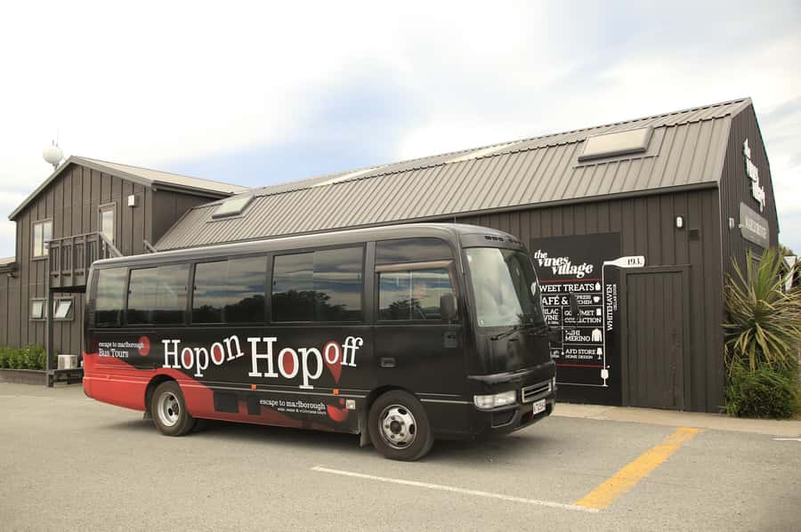 Marlborough: Hop-On Hop-Off Wine, Brewery, and Wonders Tour - Why the timetable matters more than you expect