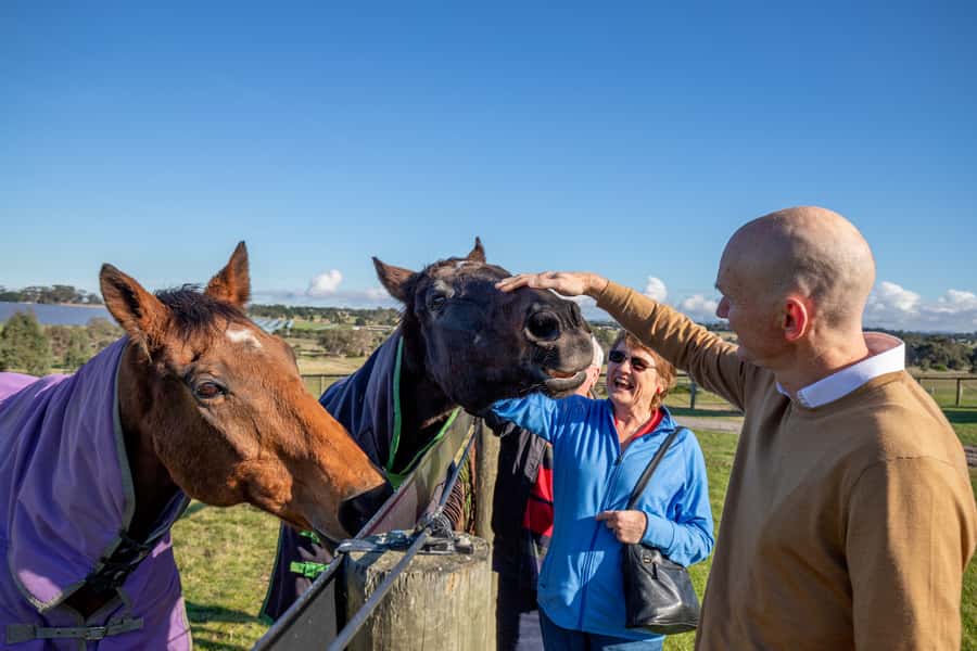 Melbourne: Full-Day Horses, Wine, and Beer Tour - Why this makes a good Melbourne day trip