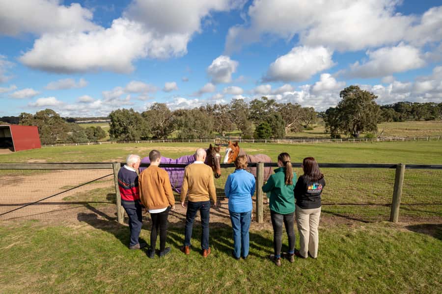 Melbourne: Full-Day Horses, Wine, and Beer Tour - Wine and wood-fired pizza at Gisborne Peak
