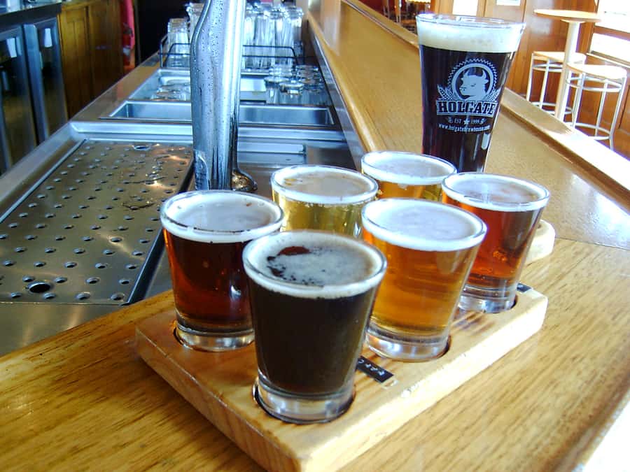Melbourne: Full-Day Horses, Wine, and Beer Tour - Living Legends and the retired racehorses
