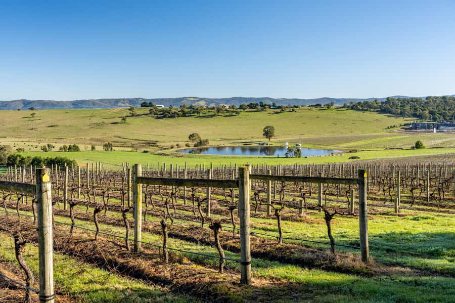 Melbourne: Yarra Valley Wine, Cider, Gin, Beer, & Choc Tour - Why this Yarra Valley day feels different