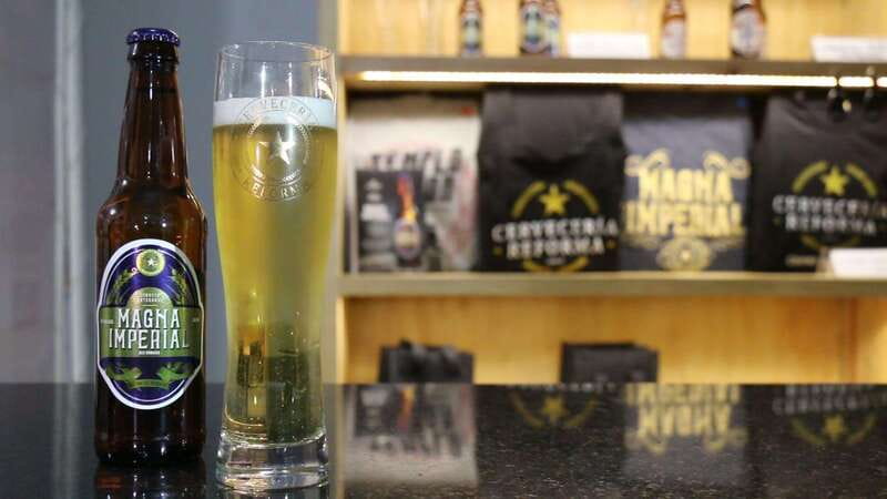 Mexico City Tasting Tour and Craft Beer Experience - Spanish guidance and group atmosphere
