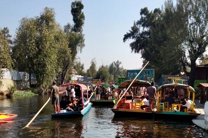 Mixology, Food, Wine and Beer Experience in Xochimilco - What $99 gets you