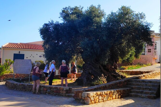 Monastery - Ancient Olive tree & Museum-Cretan Brewery Private Tour from Chania - My verdict on the monastery, olive tree, and brewery route
