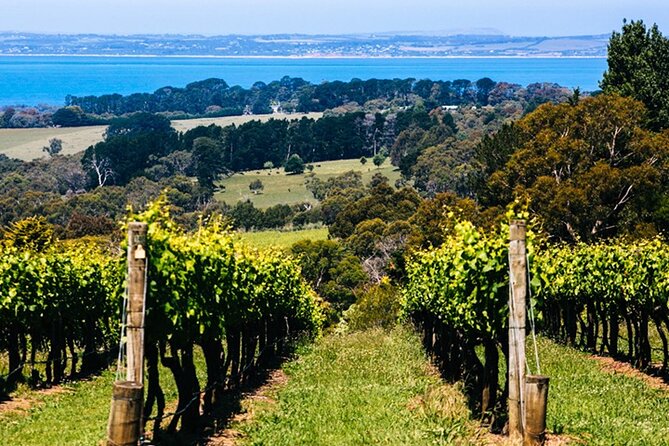 Mornington Peninsula Winery, Beer and Spirits Tour - Lunch is flexible, but it is not included