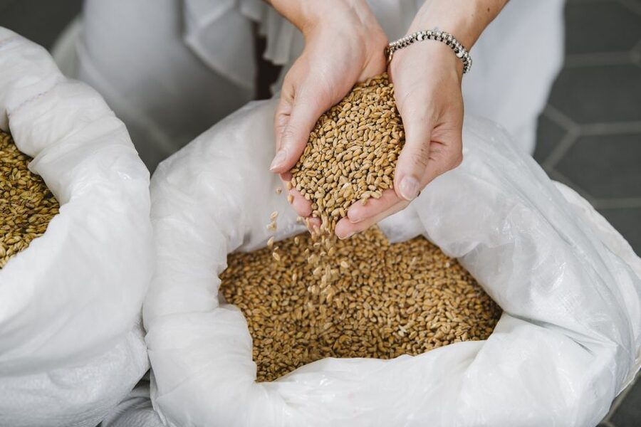 Munich: Hands-On Brewery Tour & Tasting of 4 Organic Beers - Four organic beers, including an IPA