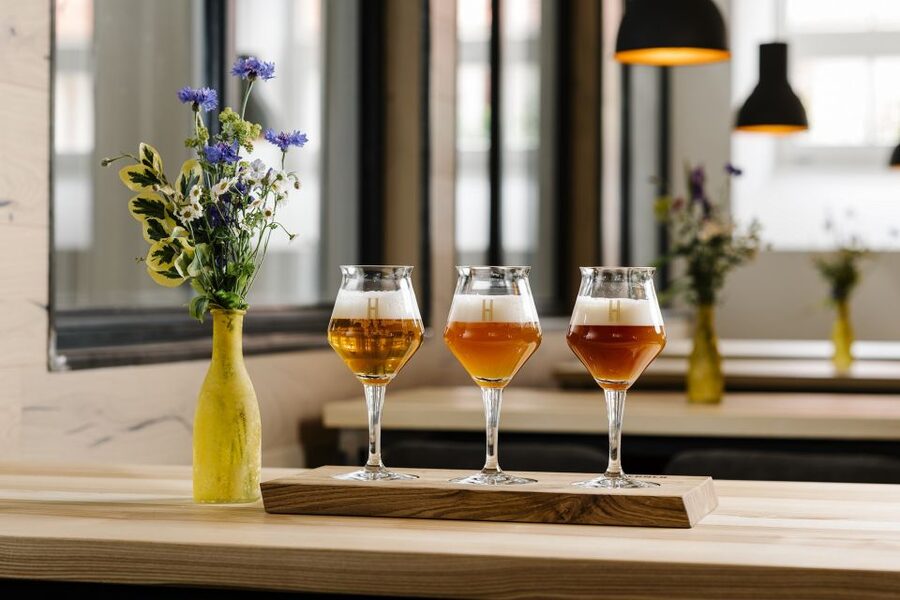 Munich: Hands-On Brewery Tour & Tasting of 4 Organic Beers - Malt you can taste and hops you can smell