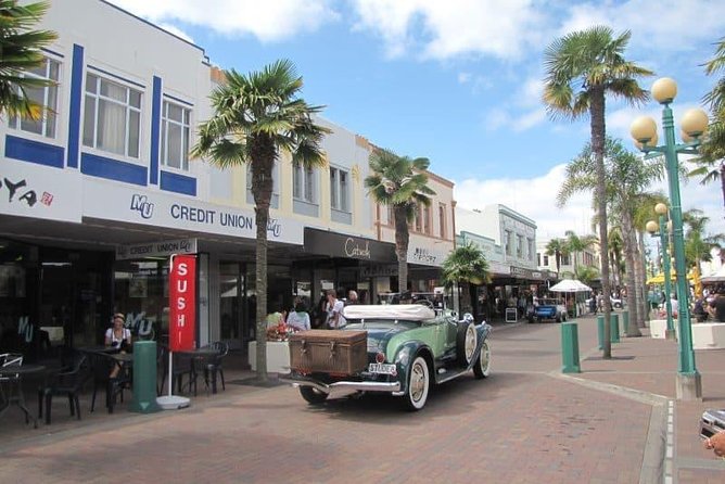 Napier Shore Excursion: Wine & Art Deco Tour - Why Napier’s 1931 earthquake matters