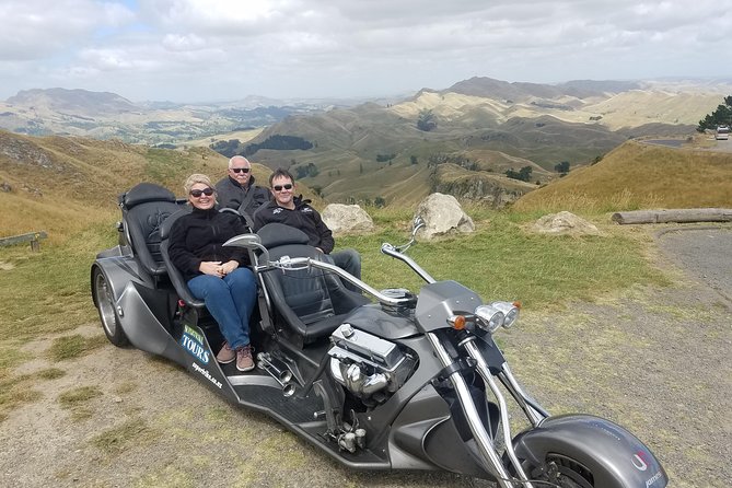 Napier Shore Excursion: Wine & Art Deco Tour - What the $102.39 price really covers