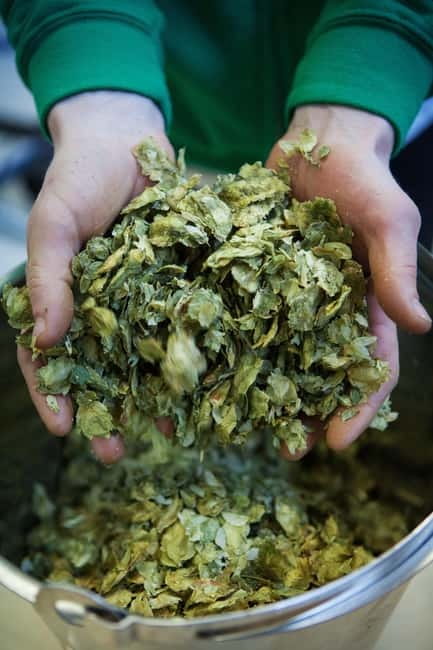 Night time tour of Harstad Craft Brewery - Five beers, five chances to compare