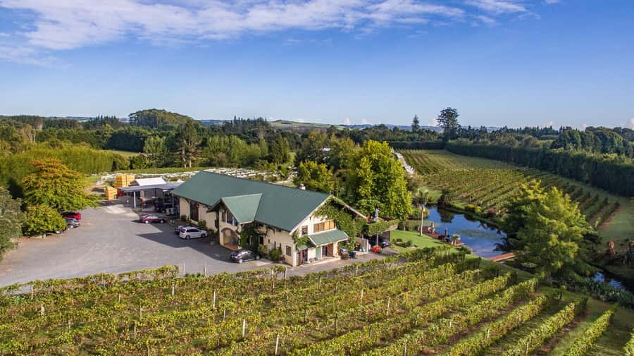Paihia or Kerikeri: Wine, Spirit, & Craft Beer Tour - A four-hour sampler of Northland’s drink makers
