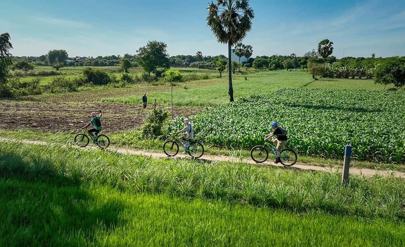 Phnom Penh: Bike & Boat Tour / E-Bike Available - A local café break with beer and snacks