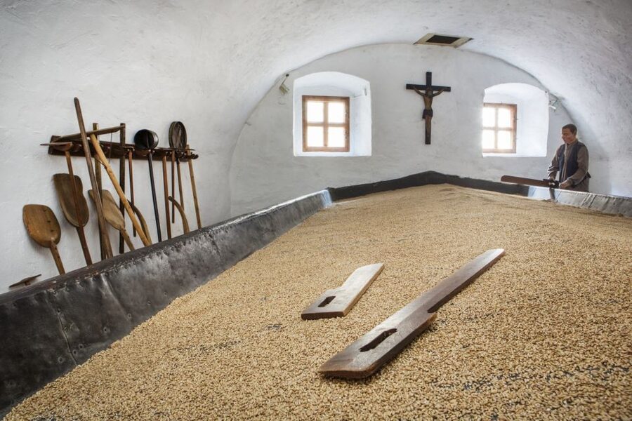 Pilsen: Brewery Museum Entrance with a Glass of Beer - Medieval cellars and beer served through a reed