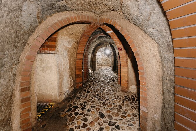 Pilsen: Historic Underground Tour with a Glass of Beer - Beneath Pilsen’s Medieval Brewing Houses