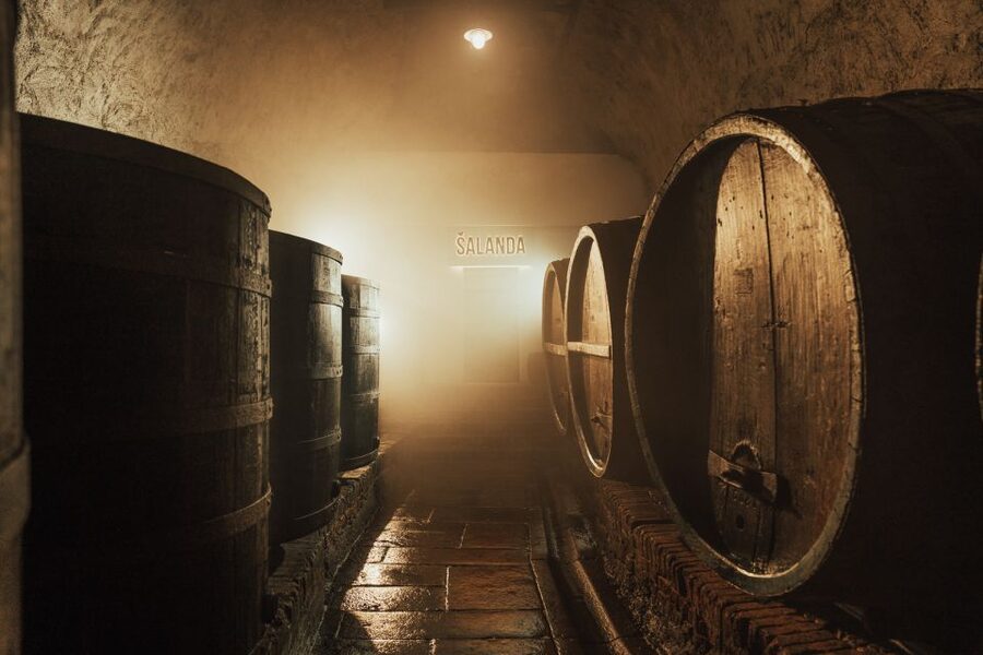 Pilsen: Pilsner Urquell Brewery Tour with Beer Tasting - Who will enjoy this tour most
