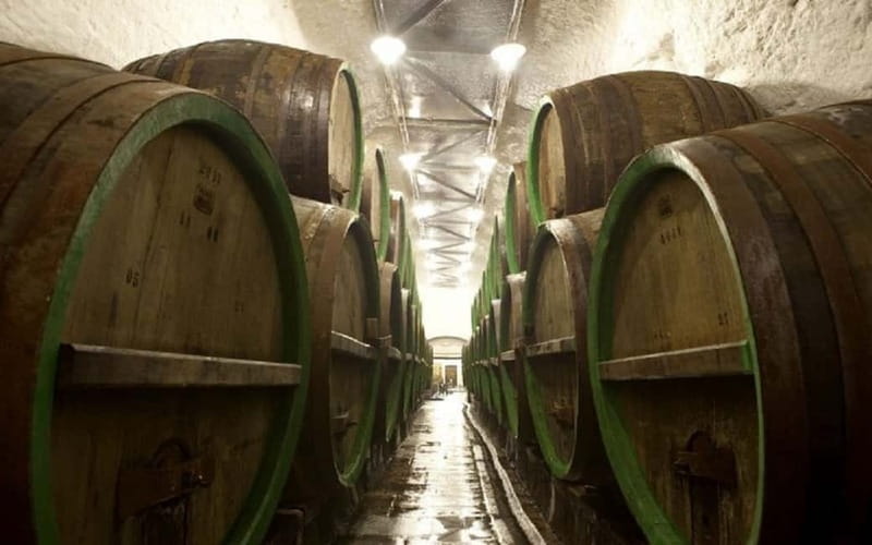Pilsner Brewery & Nizbor Glass Factory Combination Tour - Pilsner Urquell in Pilsen