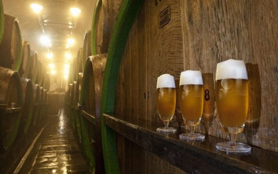 Pilsner Brewery & Nizbor Glass Factory Combination Tour - Who will get the most from this trip