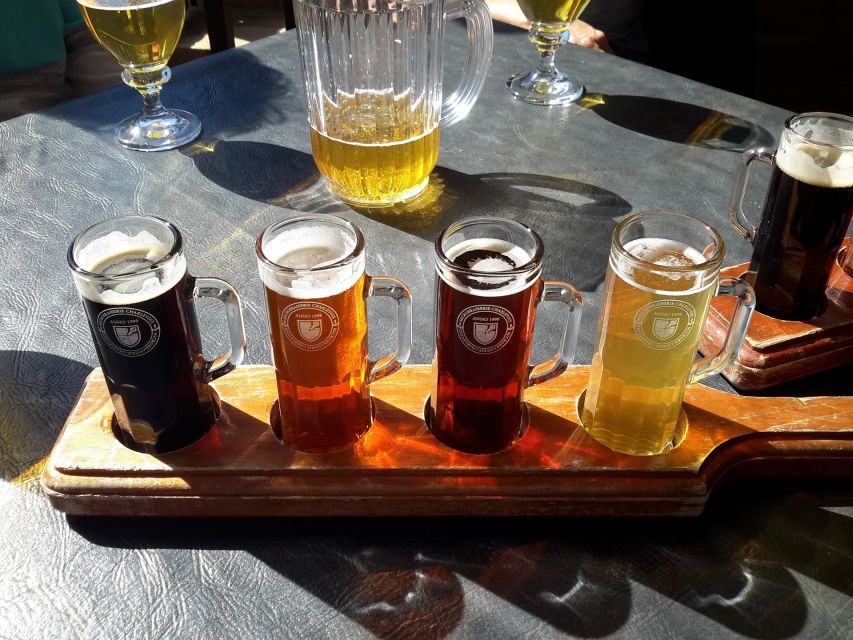 Polish Beer and Food Tasting Private Tour in Wroclaw - The two-hour tasting: seven beers and a quick introduction