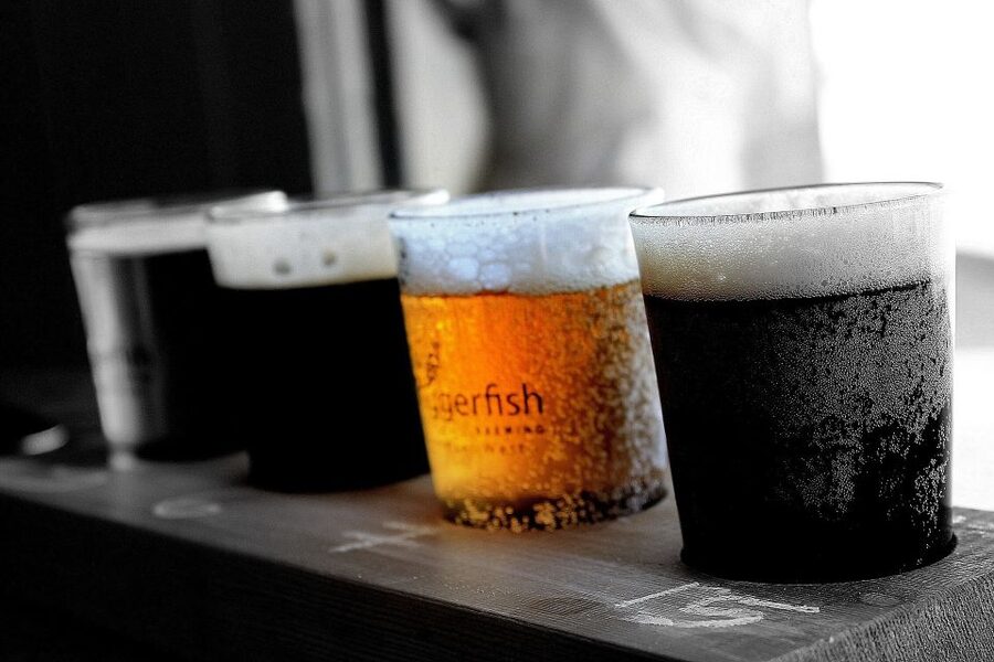 Polish Beer and Food Tasting Private Tour in Wroclaw - Who should book this Wroclaw beer tour?