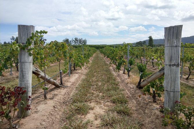 Port Macquarie Wine and Beer, Hastings Tasting Trail Tour - Who will enjoy this tour most?
