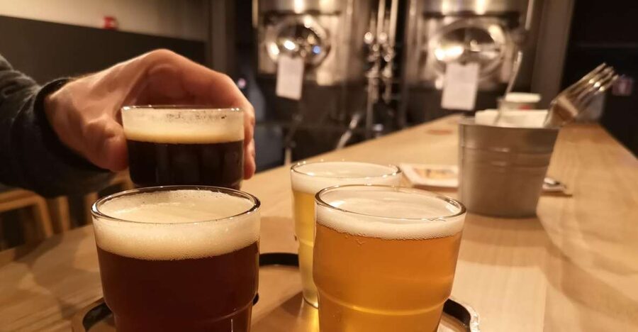 Porto: Craft Beer, Porto Secrets, and Wine Tour - Starting at the Monumento aos Mortos da Grande Guerra