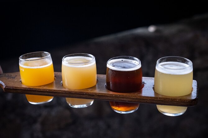 Porto Craft Beer Tour: 7 Beers + 3 Food Pairings in a Small Group - What the guides add to the experience