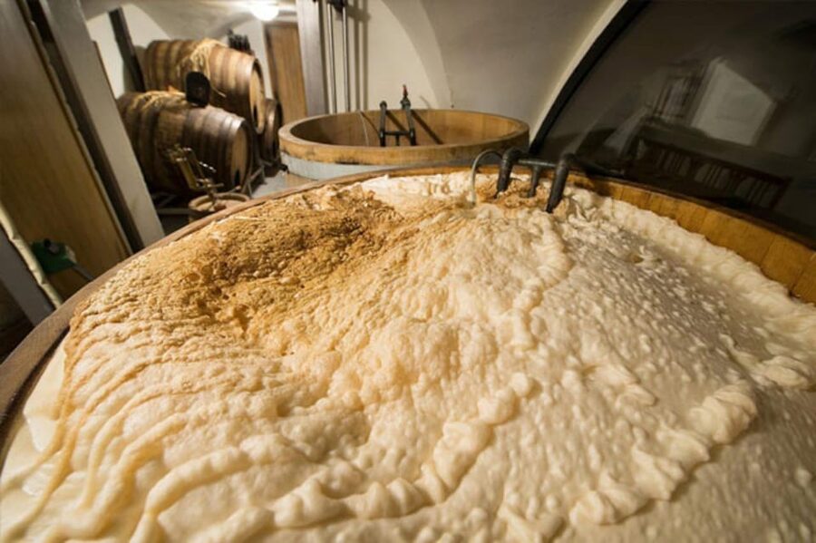 Prague: Beer Tasting and Brewery Tour - Timing, cancellation, and useful planning tips