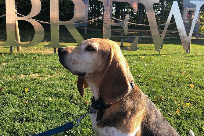 Private:Brewery, Winery, and Cider & Spirit Tastings Tour in SW Ontario - What this private Ontario tasting day really offers