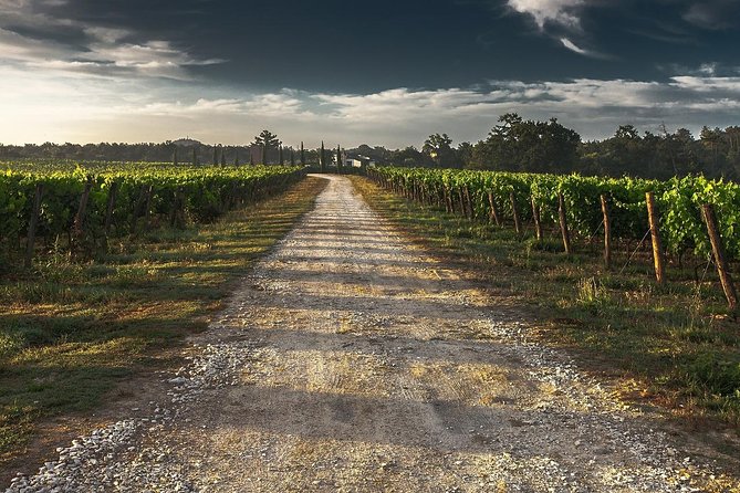 Private Customizable Niagara Wine, Beer, and Spirits Day Tour - A private day built around your taste