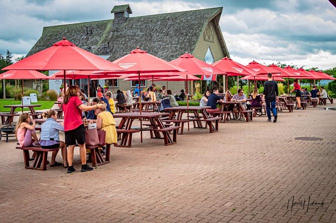 Private Customizable Niagara Wine, Beer, and Spirits Day Tour - Timing, dress, and physical demands