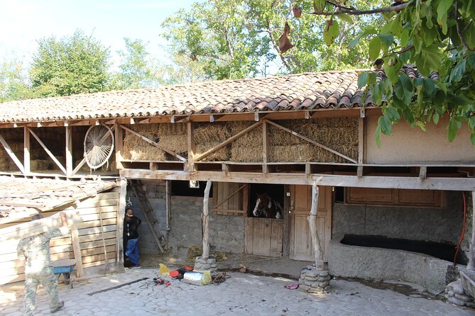 Private day horse riding trip to Sighnaghi with lunch and wine/beer. - Key points at a glance