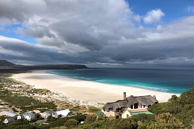 Private Day Tour to Cape Point , Penguins, Wine or Beer Tasting - From Cape Town to Camps Bay and Clifton