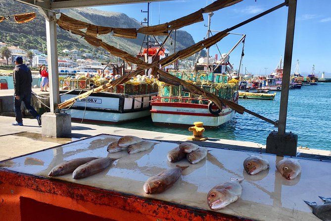 Private Day Tour to Cape Point , Penguins, Wine or Beer Tasting - Lunch in Simon’s Town Keeps the Day Practical