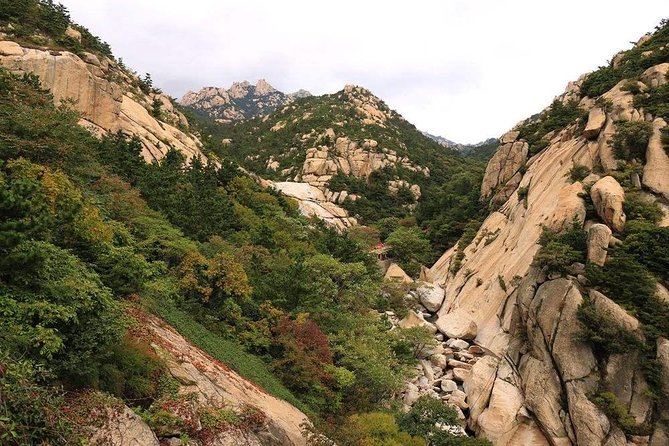 Private Qingdao Laoshan half day tour with one bottle of Tsingdao beer as gift - Taiqing Palace and the Taoist side of Laoshan