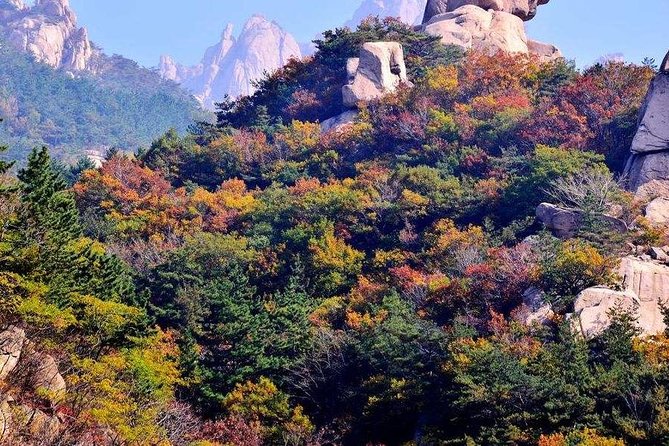 Private Qingdao Laoshan half day tour with one bottle of Tsingdao beer as gift - The round-trip cable car to Taiqing