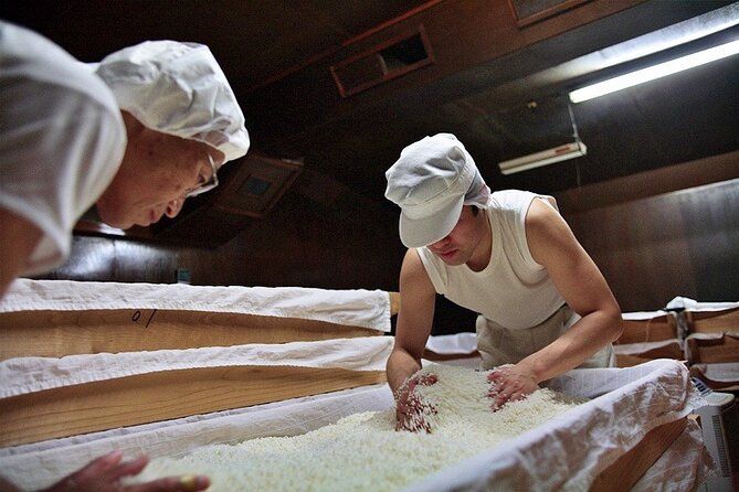 Private Sake Brewery Visit and Tasting Tour in Hida - Should you book the Tenryo Brewery tour?