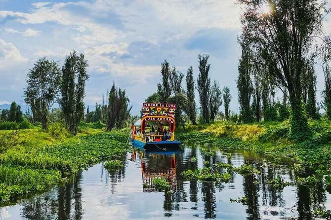 Private Tequila Craft Beer Tasting - Mexico City Floating Gardens - A tasting that goes beyond tequila