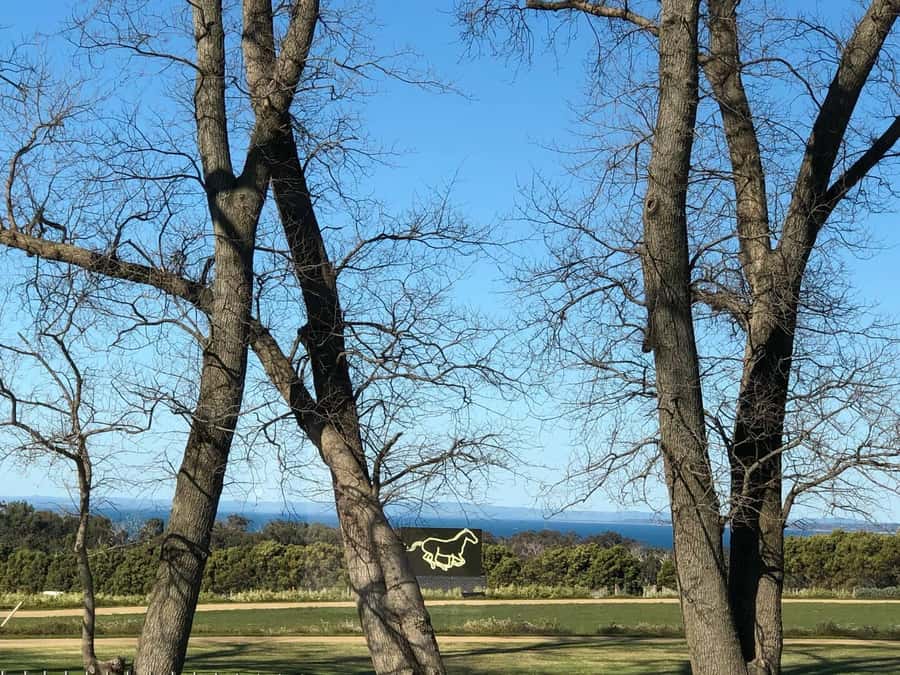 Private Tour: Mornington Peninsula Wine, Beer & Hotsprings - Key points to know before booking