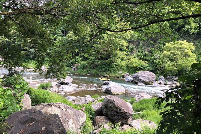 Private Tour: Tokyo's Oldest Sake Brewery and Riverside Walk - What the private format changes