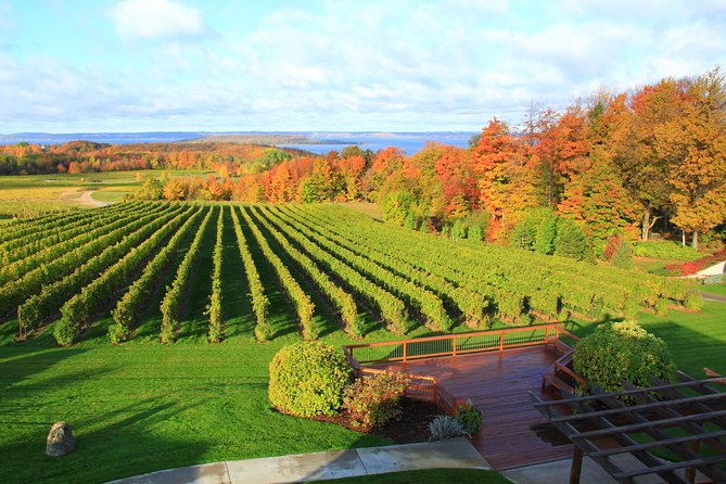 Private Traverse City Winery or Brewery Tour - Traverse City breweries for a relaxed beer route