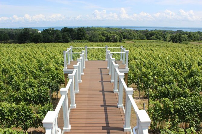 Private Traverse City Winery or Brewery Tour - Timing, food, and the details that affect your day