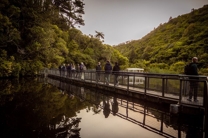 Private Wellington Craft Beer Full Day Tour - Is $223.41 per person fair?