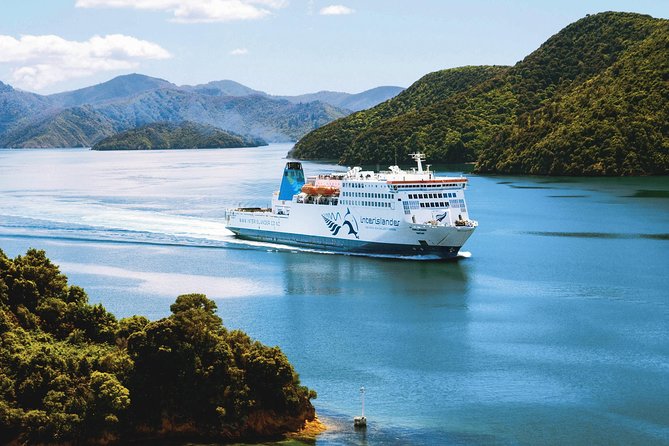 Private Wellington Craft Beer Half Day Tour - Who should book this brewery afternoon