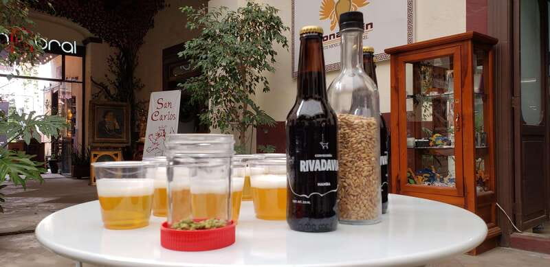 Puebla: Cholula Craft Beer Tour by Tram - Why beer and Cholula make a smart pairing