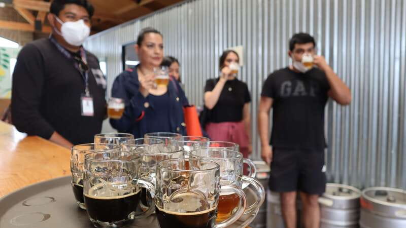 Puebla: Cholula Craft Beer Tour by Tram - Seeing Cholula from a traditional tram