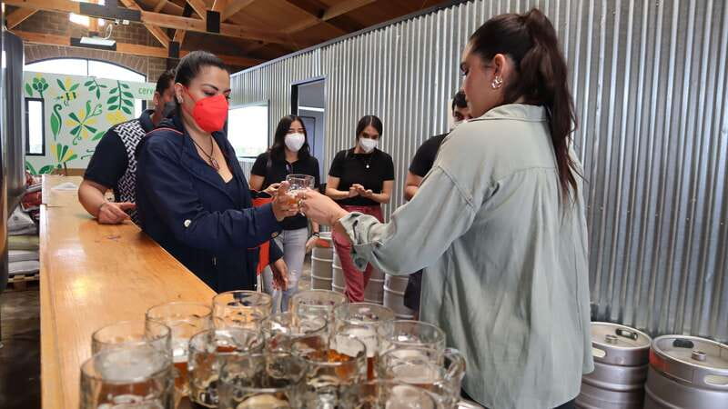 Puebla: Cholula Craft Beer Tour by Tram - What the $25 price really covers